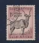 Fauna - Dieren - Steen- of Spiesbok - Suid-Afrika - gebr, Ophalen of Verzenden, Gestempeld, Dier of Natuur