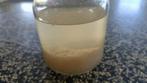 Verse actieve waterkefir korrels 80 gram voor 1 liter kefir, Diversen, Ophalen of Verzenden
