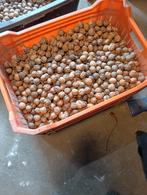 Walnoten te koop, Ophalen