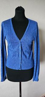 blauw vest van King louie maat s (14725), Verzenden, Zo goed als nieuw, Maat 38/40 (M), Blauw