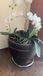 Mooie bloempot, Tuin en Terras, Bloempotten, Rond, Ophalen of Verzenden, Zo goed als nieuw, Aardewerk