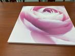 Canvas Pjatteryd Ikea roos, Ophalen of Verzenden, Zo goed als nieuw, Schilderij, 50 tot 75 cm