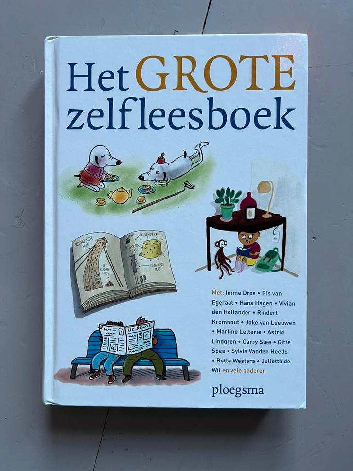 Het grote zelfleesboek, Boeken, Kinderboeken | Jeugd | onder 10 jaar, Zo goed als nieuw, Sprookjes, Ophalen of Verzenden