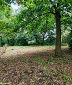 Bos/weiland grond Te koop GEVRAAGD, Tuin en Terras, Minder dan 3 m³, Ophalen of Verzenden