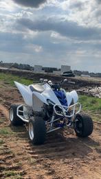 Yamaha raptor 350 met kenteken, Motoren, Onderdelen | Yamaha, Ophalen, Gebruikt