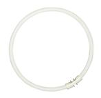 Sylvania Circlines plus TL-buis 39,9W 299MM 3000K - 0000523, Huis en Inrichting, Lampen | Losse lampen, 30 tot 60 watt, Soft of Flame