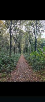 Stalling aangeboden in Avenhorn, Stalling