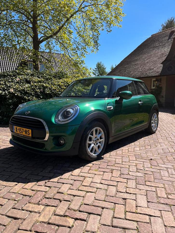Mini 3-deurs (f56) 1.5 102pk eind 2019 LED Racing Green, Auto's, Mini, Particulier, One, Benzine, Hatchback, Handgeschakeld, Geïmporteerd