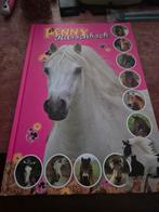 Penny Rassenboek - Paardenboek, Ophalen of Verzenden, Zo goed als nieuw, Holco Publications, Non-fictie