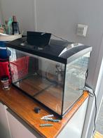 70 liter Superfish Aquarium met pomp, Ophalen, Gebruikt, Verlichting of Verwarming