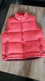 Bodywarmer met ritszakken merk Rags maat M (valt als een S), Kinderen en Baby's, Kinderkleding | Maat 176, Ophalen, Zo goed als nieuw