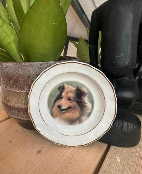 Klein bordje met een schotse herdershond / collie, Antiek en Kunst, Antiek | Servies los, Ophalen of Verzenden