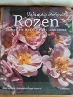 Uitbundig bloeiende Rozen - Lens Roses, Verzenden, Zo goed als nieuw, Bloemen, Planten en Bomen, Ann Velle, Philippe Debeerst