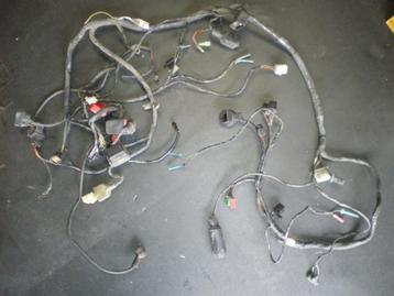 Complete kabelboom voor Kawasaki ZX6R beschikbaar voor biedingen