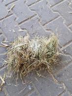Paarden hooi, Ophalen of Verzenden, Vee