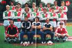 Elftalposter SVV Schiedam - seizoen 1981/1982, Ophalen of Verzenden, Gebruikt, Feyenoord, Poster, Plaatje of Sticker