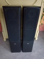 Magnat Vector 33 speakers, Audio, Tv en Foto, Luidsprekers, Front, Rear of Stereo speakers, Magnat, Gebruikt, 60 tot 120 watt