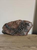 T-rex muurdecoratie - nieuw in doos, Ophalen of Verzenden, Nieuw, Overige typen