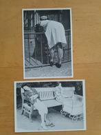 Friedrich Seidenstücker kaarten, Verzamelen, Foto's en Prenten, Ophalen of Verzenden, Voor 1940