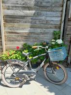 Alpina Clubb club kinderfiets jongensfiets 22 inch., Ophalen, Gebruikt, 22 inch