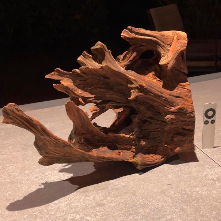 Uniek stuk Kienhout / Driftwood / Spiderwood, Hout Decoratie, Dieren en Toebehoren, Vissen | Aquaria en Toebehoren, Nieuw, Plant(en), Steen of Hout