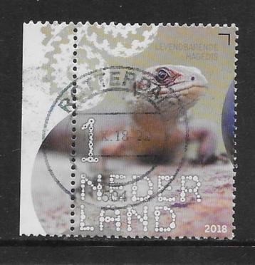 2018, Reptielen/Amfibieën, Levendbarende Hagedis[3601](K1101 beschikbaar voor biedingen