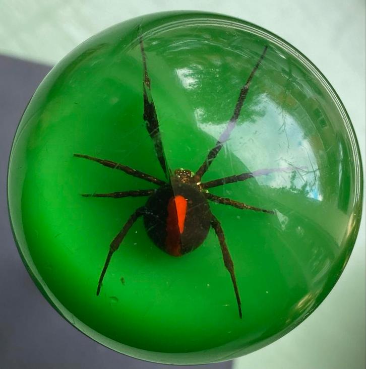 Roodrugspin Versnellingspookknop pookknop, Antiek en Kunst, Curiosa en Brocante, Ophalen of Verzenden