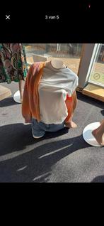 Paspoppen, Hobby en Vrije tijd, Naaien en Fournituren, Ophalen, Zo goed als nieuw, Overige typen