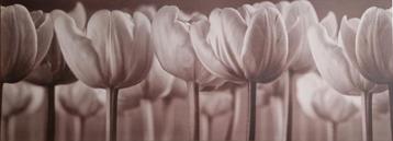 Ikea canvas schilderij beschikbaar voor biedingen