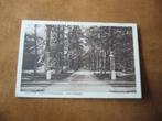 SOESTERBERG  >  LAAN VAN KLEIN STERRENBERG   1925, Verzenden, 1920 tot 1940, Gelopen, Gelderland