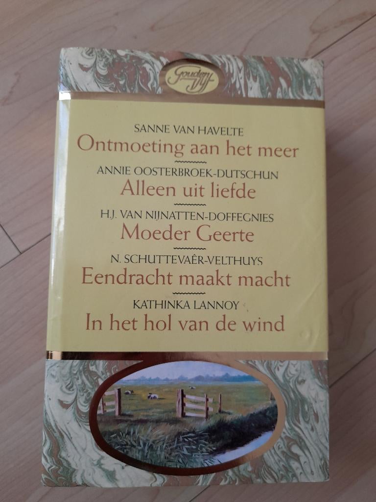 GOUDEN VIJF met ONTMOETING AAN HET MEER Sanne van Havelte;, Boeken, Ophalen of Verzenden, Gelezen, Nederland