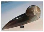 Edelsteen drusy agaat raven schedel scull, 8,5 x 3 x 2,2 cm, Antiek en Kunst, Kunst | Designobjecten, Ophalen of Verzenden