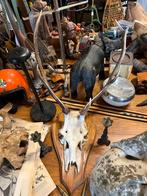 20 tal hertengeweien, Verzamelen, Ophalen of Verzenden, Hert