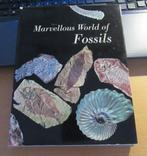Marvellous world of shells / Schelpen, Verzenden, Schelp(en)