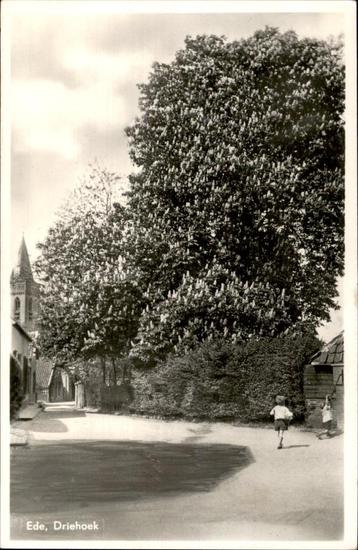 Ede Driehoek fotokaart  beschikbaar voor biedingen
