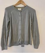 Lichtgrijze vest merk NOA NOA maat S nieuwstaat, Maat 38/40 (M), Noa Noa, Ophalen of Verzenden, Zo goed als nieuw