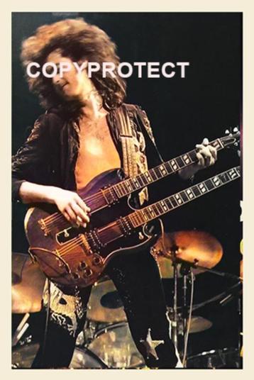 Led Zeppelin live  beschikbaar voor biedingen