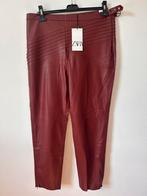 Nieuw! Zara wijnrode broek/legging XXL, Ophalen of Verzenden, Nieuw, Maat 46/48 (XL) of groter, Rood