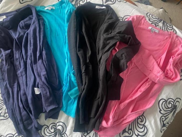 2 (+2) vesten mt m (valt meer als mt s) van anni rolfi, Kleding | Dames, Truien en Vesten, Gedragen, Maat 38/40 (M), Overige kleuren