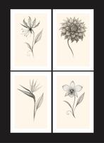 Set van 4 | Bloemenprints, Ophalen, Minder dan 50 cm, Oorspronkelijke maker, Nieuw