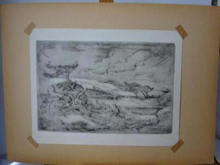 Frits v/d Waals - Landschap, Antiek en Kunst, Kunst | Etsen en Gravures, Ophalen of Verzenden