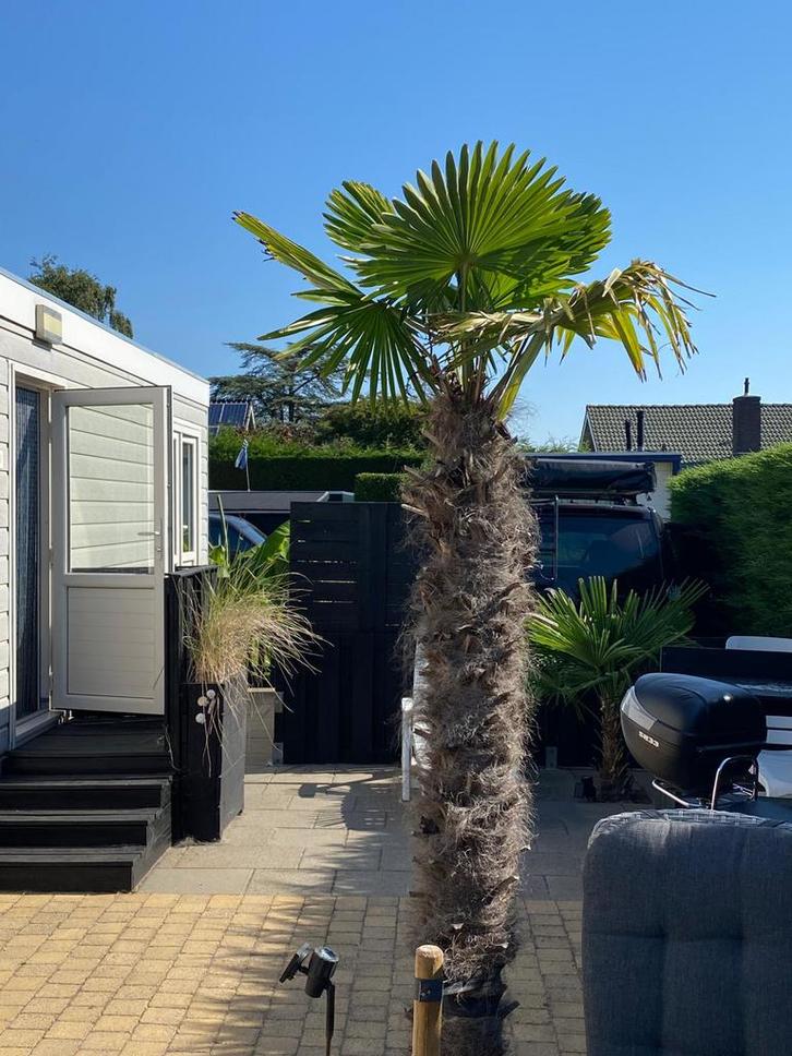 Te huur: stacaravan op Schouwen Duiveland., Caravans en Kamperen, Verhuur