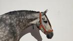 Several horses, PRE, Luso-Arab..., Dieren en Toebehoren, Merrie, Gechipt, 160 tot 165 cm, 3 tot 6 jaar