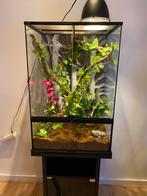 ExoTerra Terrarium 90x60x45 met achterwand en onderkast, Dieren en Toebehoren, Ophalen, Terrarium of Paludarium
