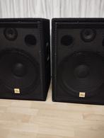 Twee 15 inch speakers, Ophalen of Verzenden, 120 watt of meer, Front, Rear of Stereo speakers, Overige merken