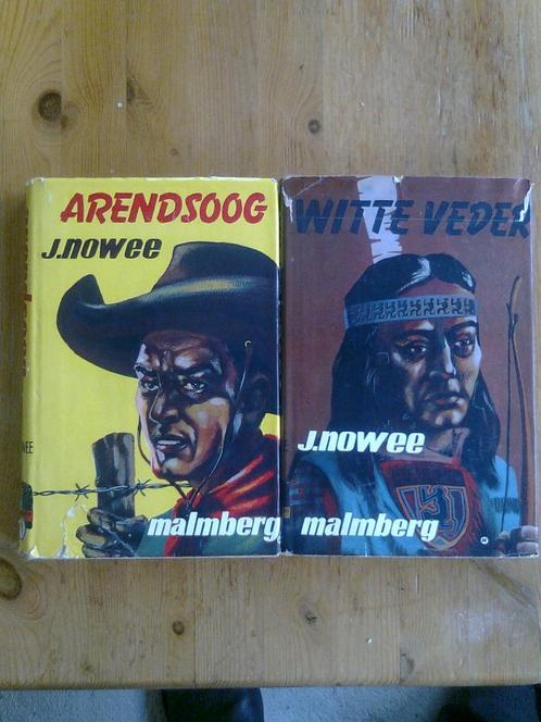 Arendsoog-serie, 19 delen, Boeken, Kinderboeken | Jeugd | 13 jaar en ouder, Ophalen of Verzenden