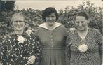 Fotokaart met drie dames. (wie ?), Verzamelen, Foto's en Prenten, 1940 tot 1960, Foto, Zo goed als nieuw, Verzenden