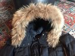 Parajumpers jas long bear, Ophalen of Verzenden, Zo goed als nieuw, Maat 36 (S), Zwart