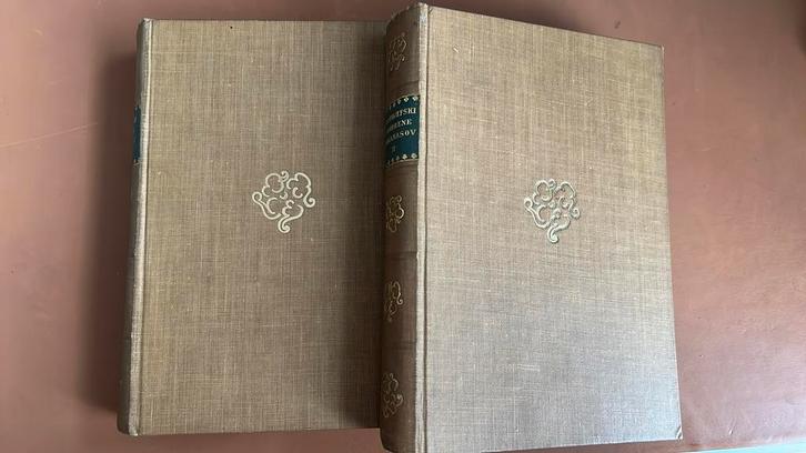 Broeders Karamazov, Antiek en Kunst, Antiek | Boeken en Bijbels, Ophalen of Verzenden