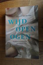 Gijsbert van der Wal: wijd open ogen (over kunst), Ophalen of Verzenden, Gelezen, Schilder- en Tekenkunst